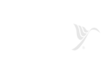 Berggren