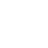Nimble Fox logo